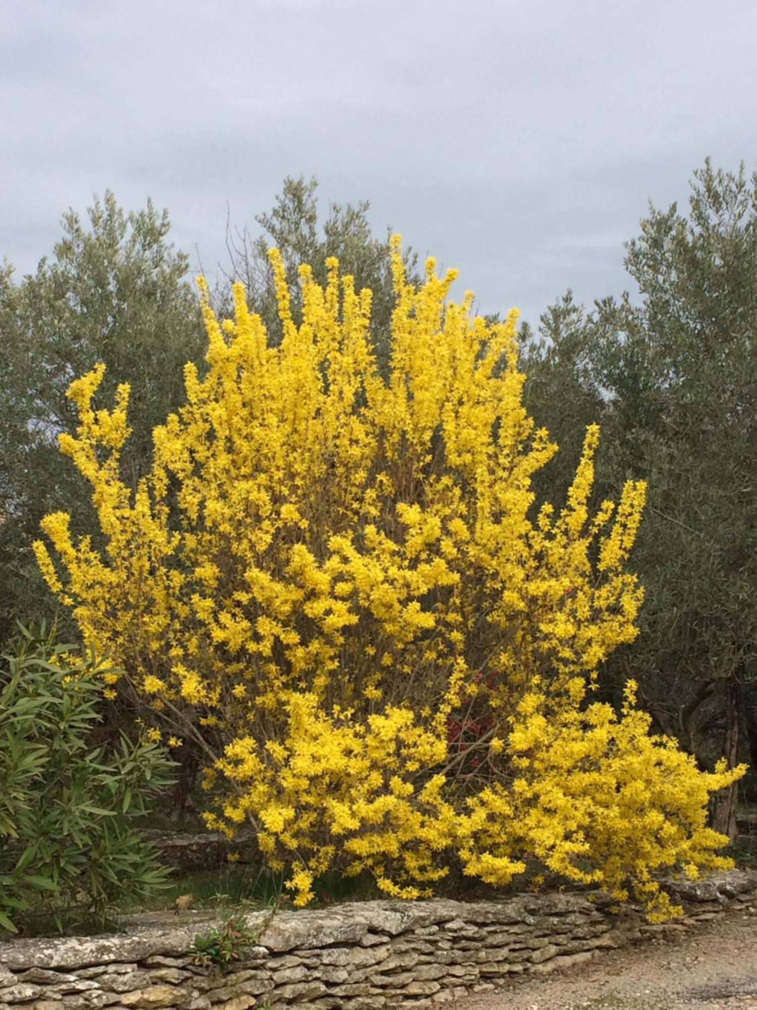 Le Verger Gordes Εξωτερικό φωτογραφία