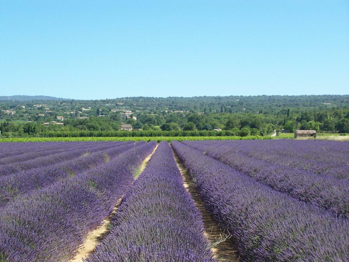 Le Verger Gordes Εξωτερικό φωτογραφία